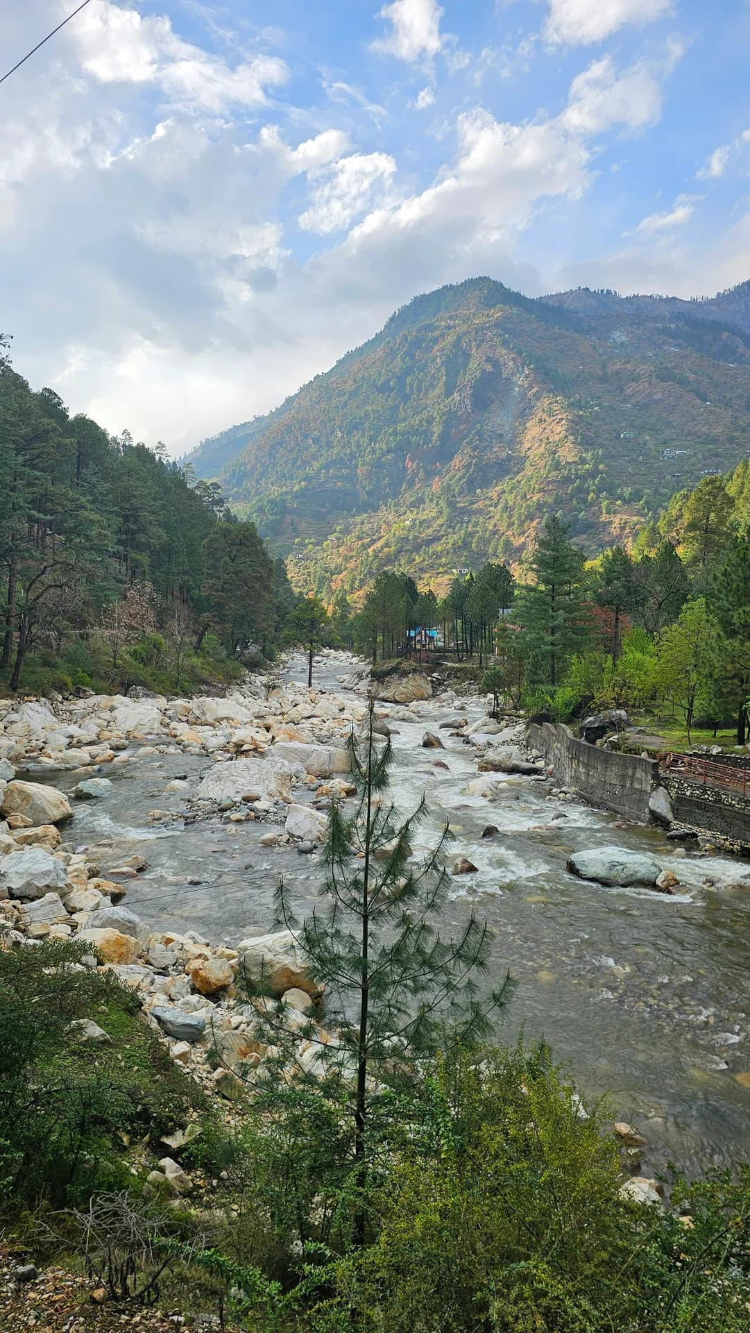 River flowing through the green Tirthan Valley in Himachal Pradesh