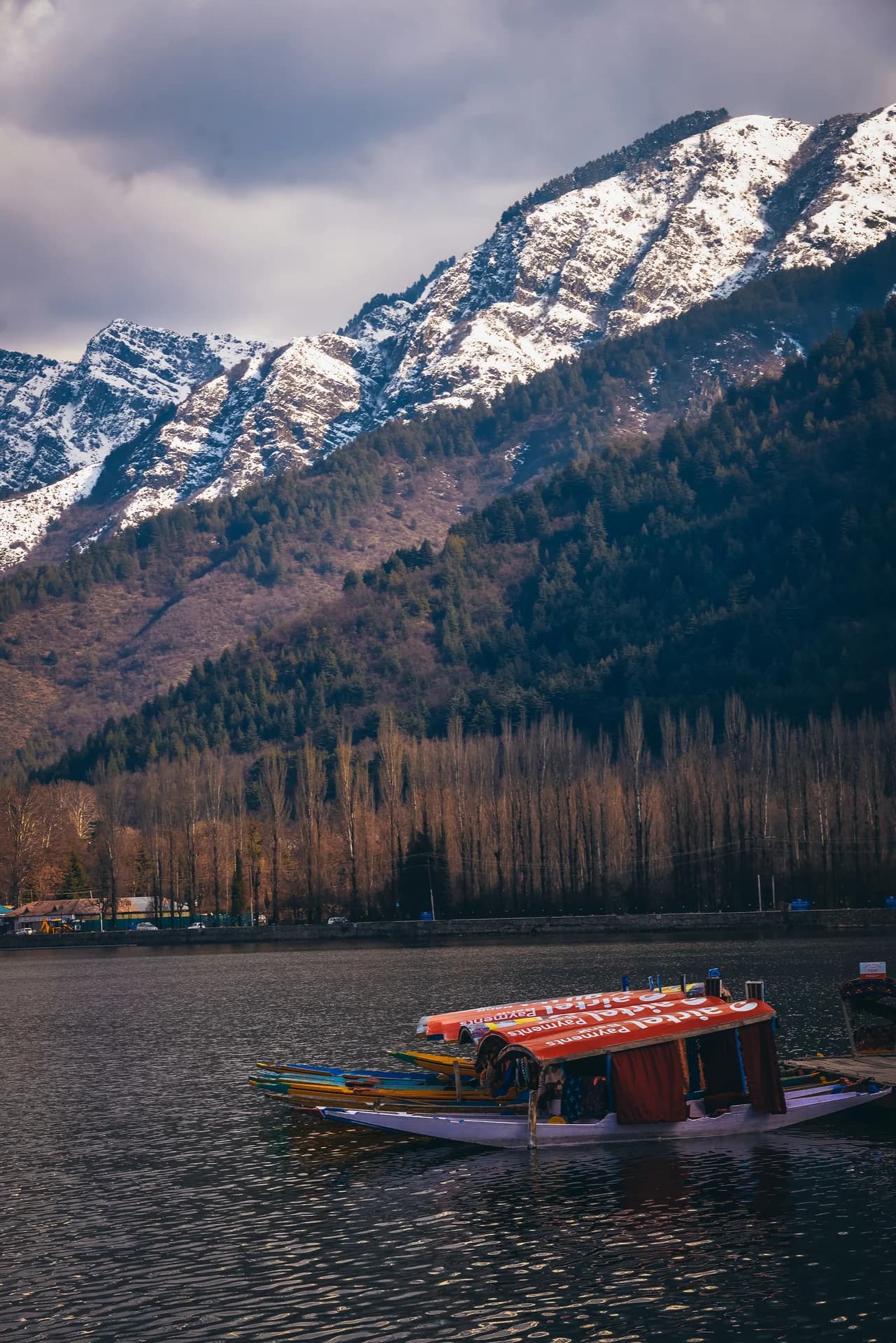 Scenic Himalayan travel experience