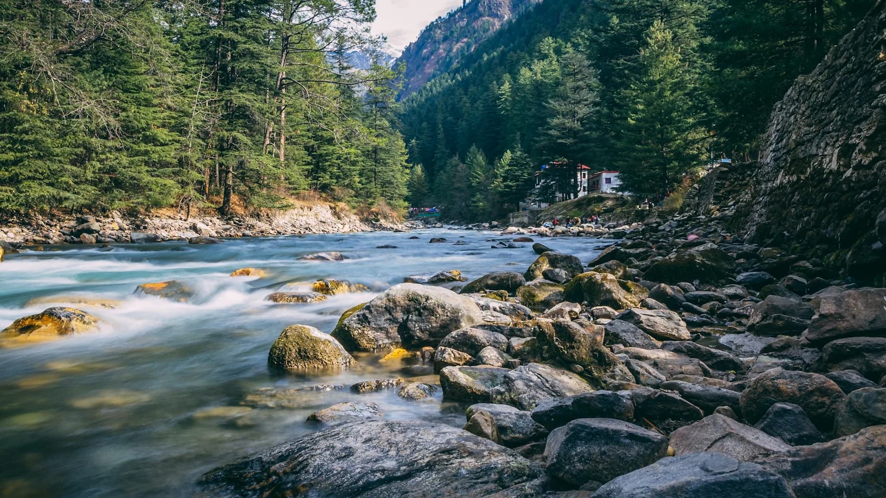 Parvati River flowing through the forest near Kasol